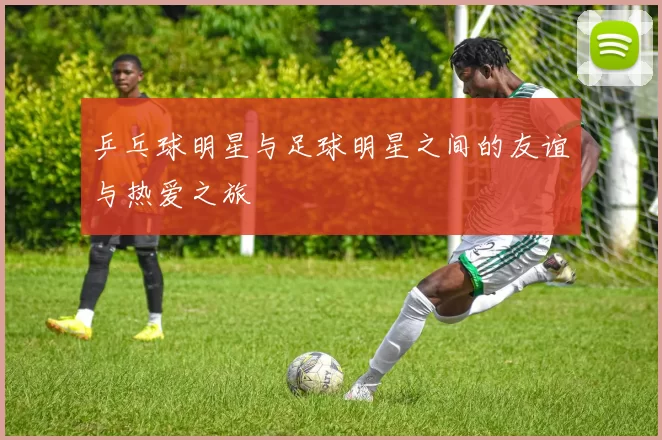 乒乓球明星与足球明星之间的友谊与热爱之旅