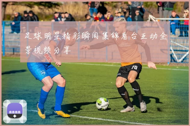 足球明星精彩瞬间集锦看台互动全景视频分享