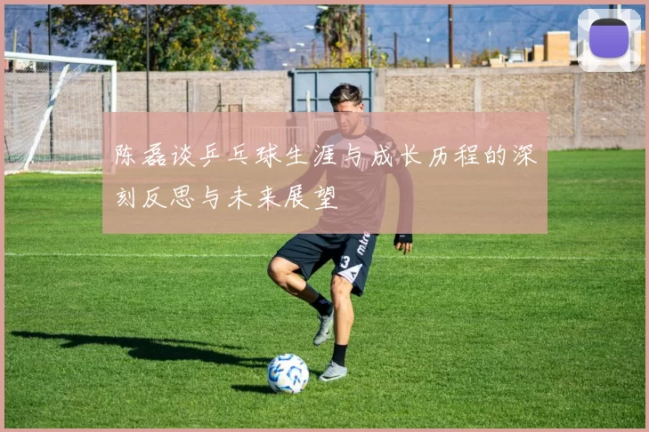 陈磊谈乒乓球生涯与成长历程的深刻反思与未来展望