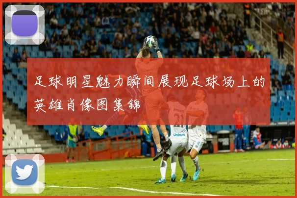 足球明星魅力瞬间展现足球场上的英雄肖像图集锦