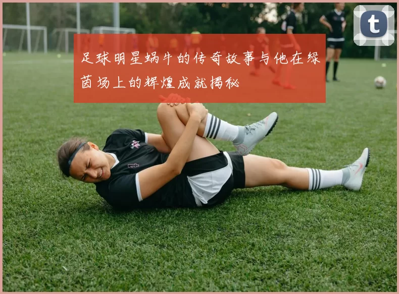 足球明星蜗牛的传奇故事与他在绿茵场上的辉煌成就揭秘