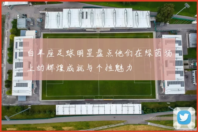 白羊座足球明星盘点他们在绿茵场上的辉煌成就与个性魅力