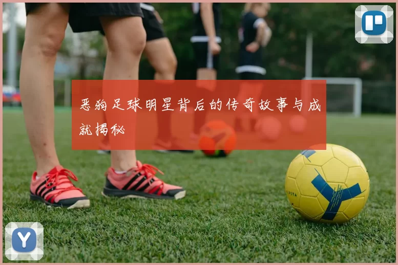 恶狗足球明星背后的传奇故事与成就揭秘