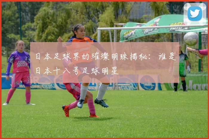 日本足球界的璀璨明珠揭秘：谁是日本十八号足球明星