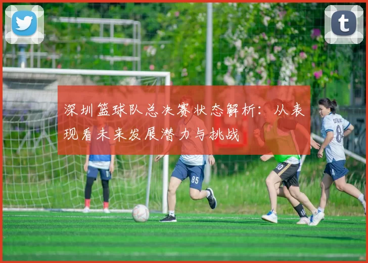 深圳篮球队总决赛状态解析：从表现看未来发展潜力与挑战