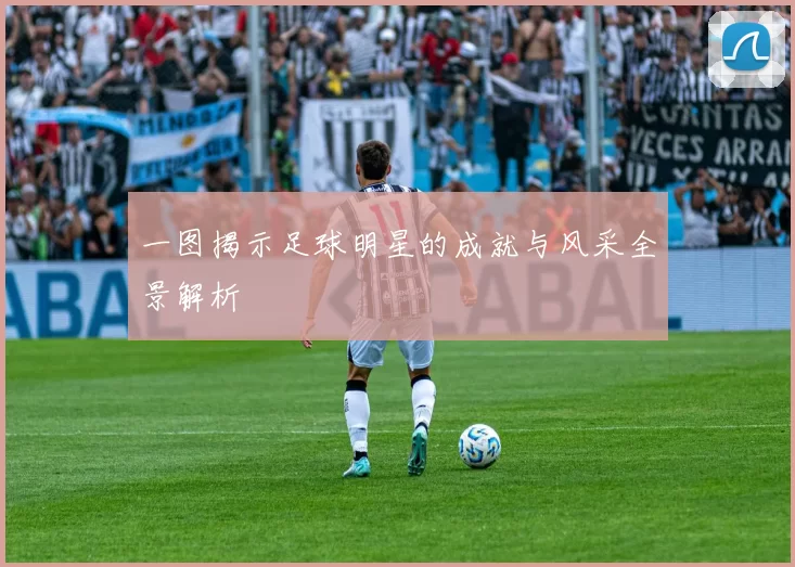 一图揭示足球明星的成就与风采全景解析