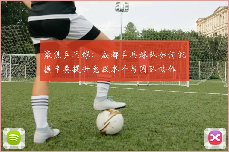 聚焦乒乓球：成都乒乓球队如何把握节奏提升竞技水平与团队协作