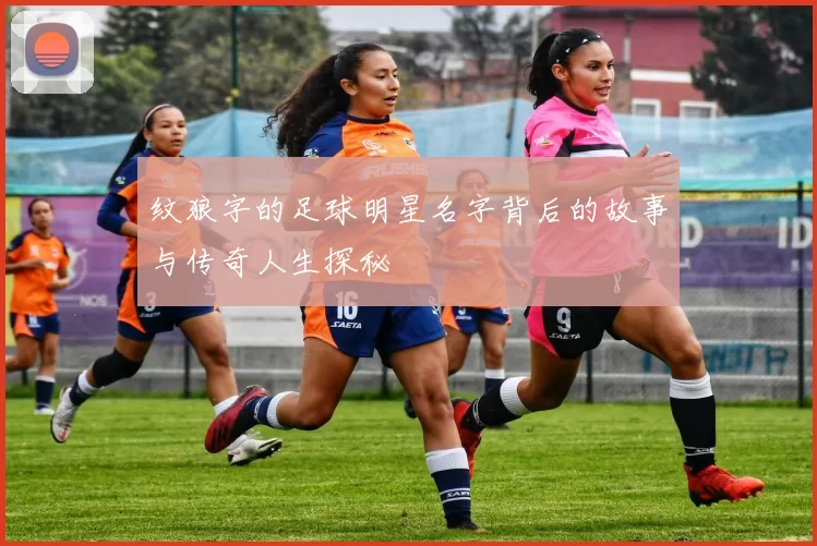 纹狼字的足球明星名字背后的故事与传奇人生探秘