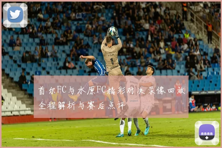 首尔FC与水原FC精彩对决录像回放全程解析与赛后点评