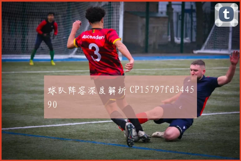 球队阵容深度解析 CP15797fd344590