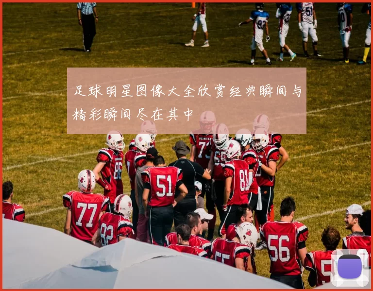 足球明星图像大全欣赏经典瞬间与精彩瞬间尽在其中