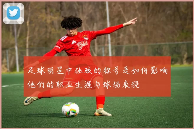 足球明星中独狼的称号是如何影响他们的职业生涯与球场表现