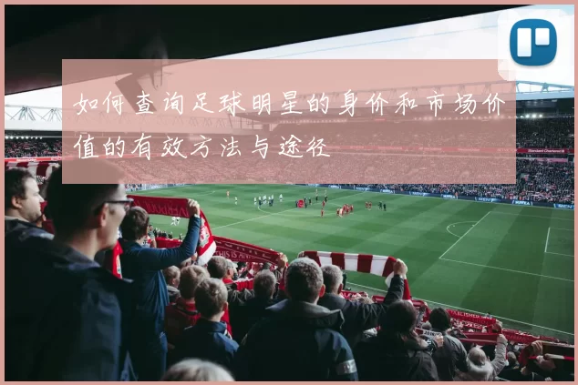 如何查询足球明星的身价和市场价值的有效方法与途径